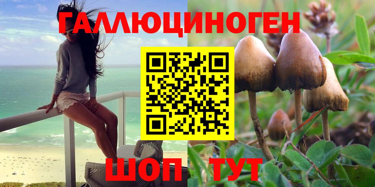 Ахтубинск  Псилоцибиновые грибы Cubensis  Вход с VPN  Галлюциногенные грибы Cubensis 