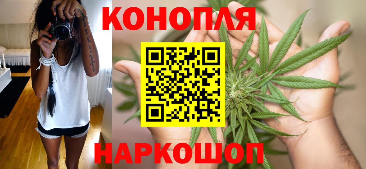 Бошки марихуана сатива  Конопля ГИДРОПОН  Вход с VPN  Ахтубинск 
